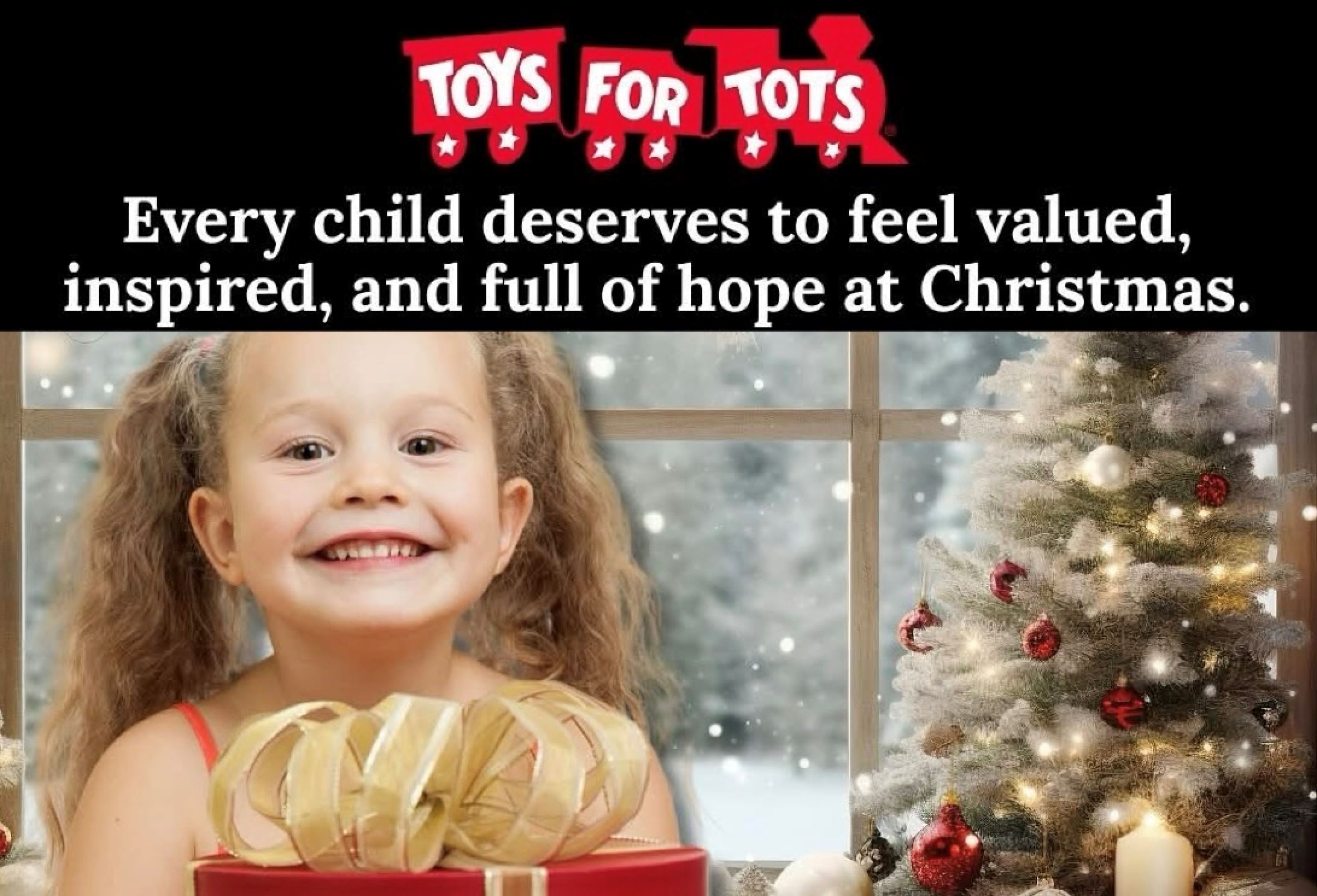 Toys for Tots Collection 2025