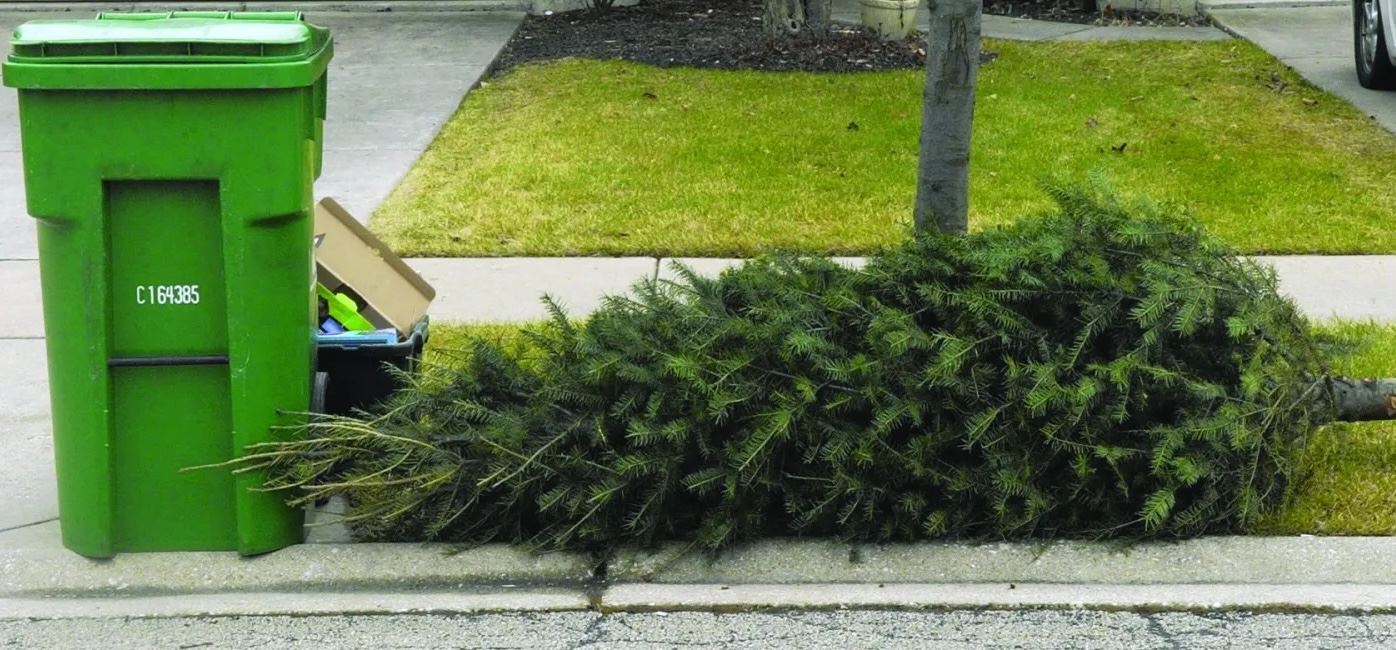 Christmas-Tree-Recycling