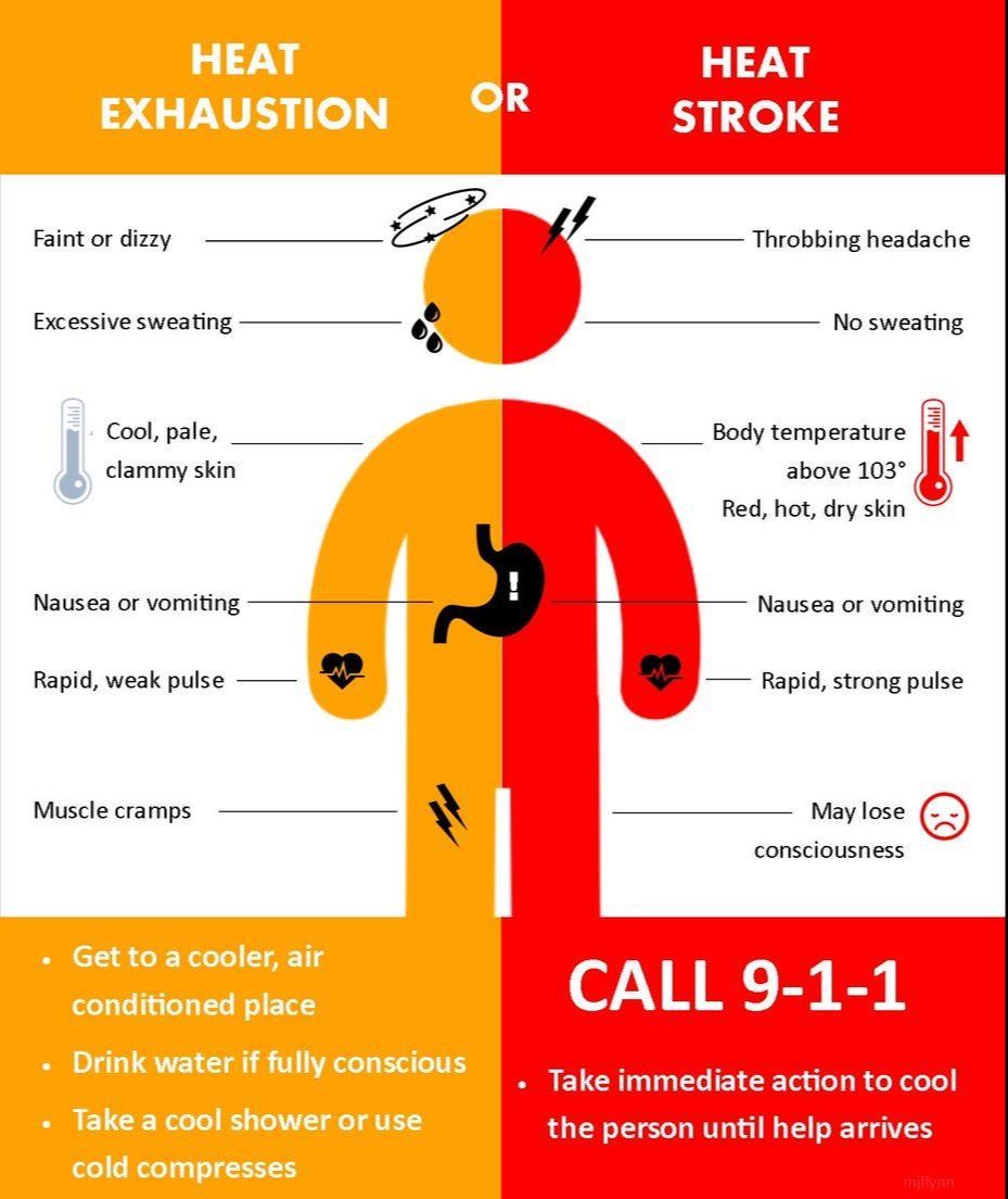 Heat Illness Signs