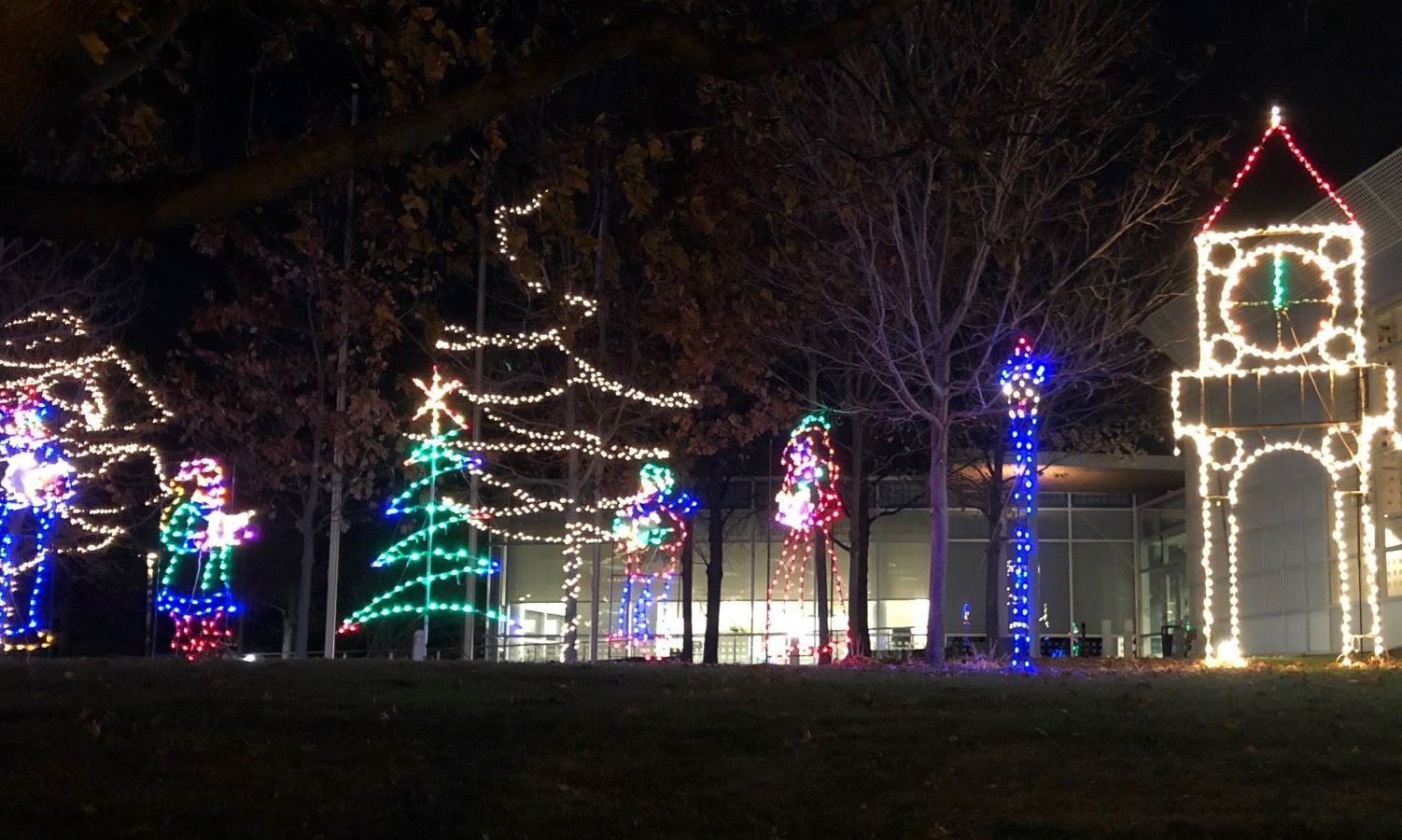 Winter Light Display